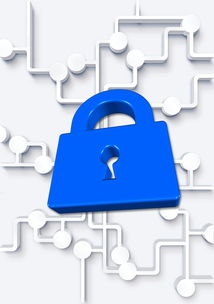 乐鱼体育(中国)官方网站-高校体育社团管理数字化平台构建方案，全国性体育社团